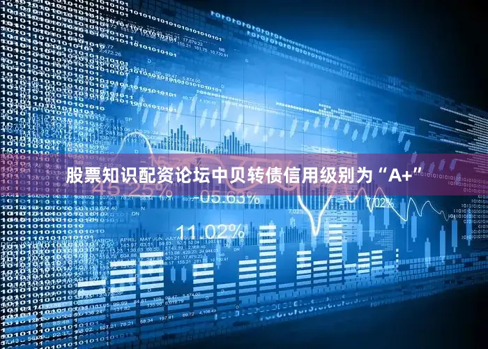 股票知识配资论坛中贝转债信用级别为“A+”