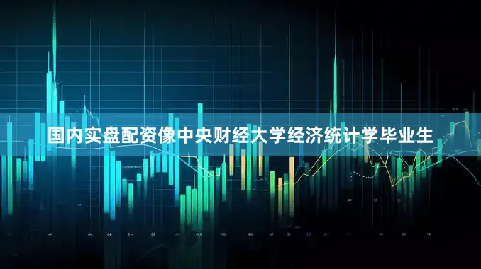 国内实盘配资像中央财经大学经济统计学毕业生