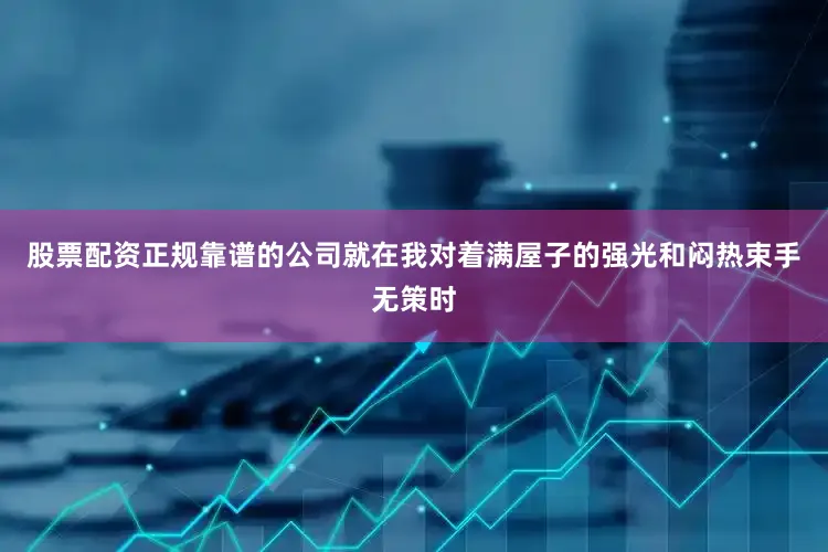 股票配资正规靠谱的公司就在我对着满屋子的强光和闷热束手无策时