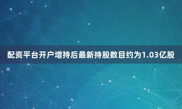 配资平台开户增持后最新持股数目约为1.03亿股