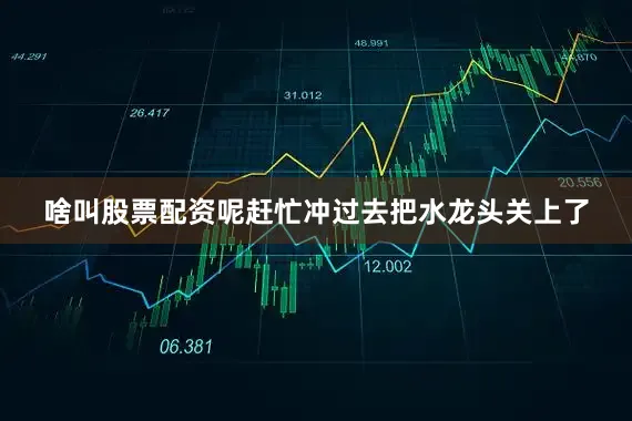 啥叫股票配资呢赶忙冲过去把水龙头关上了