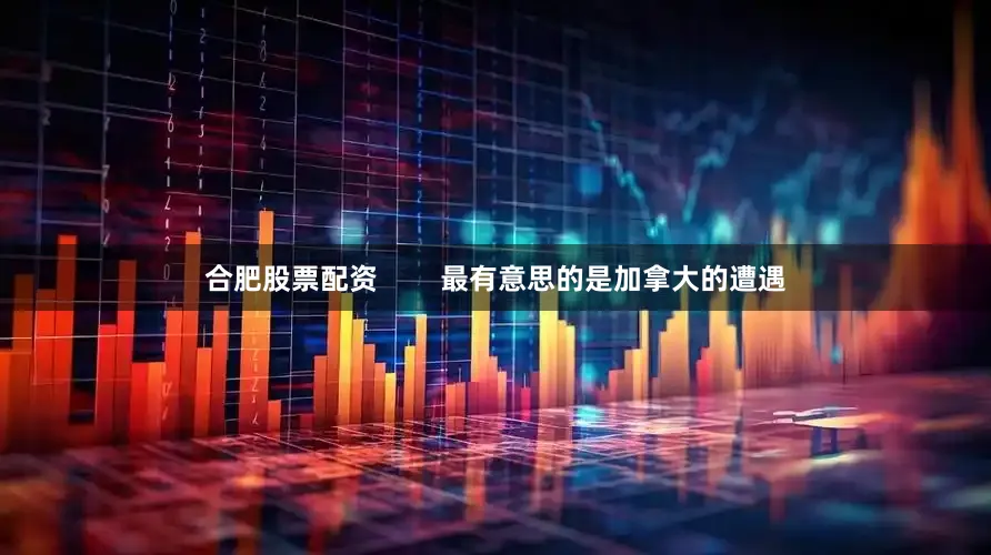 合肥股票配资        最有意思的是加拿大的遭遇