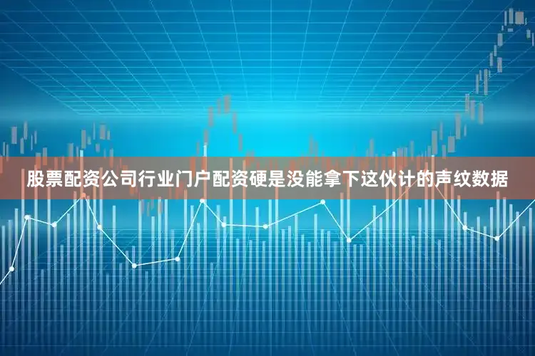 股票配资公司行业门户配资硬是没能拿下这伙计的声纹数据